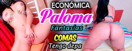 puta comas, paloma