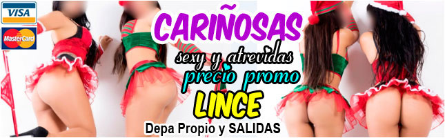 kines delivery lince