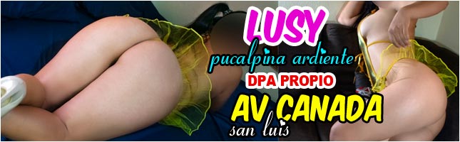 kinesiologas san luis