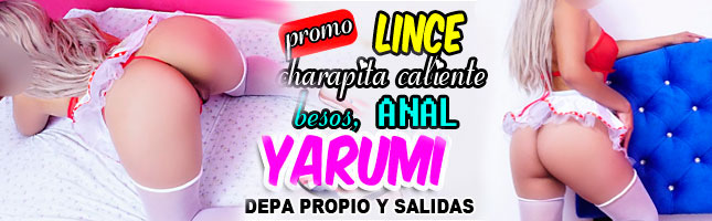 kines charapitas lince
